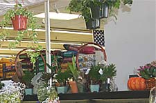 Flower and Garden Department