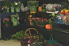 Flower and Garden Department