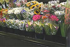 Flower and Garden Department